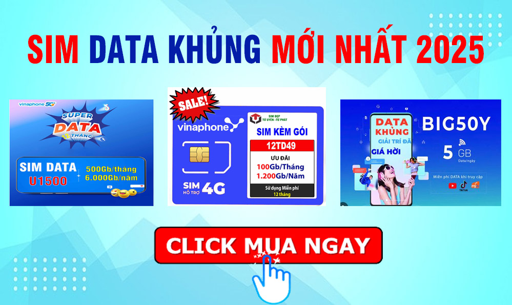 simdata